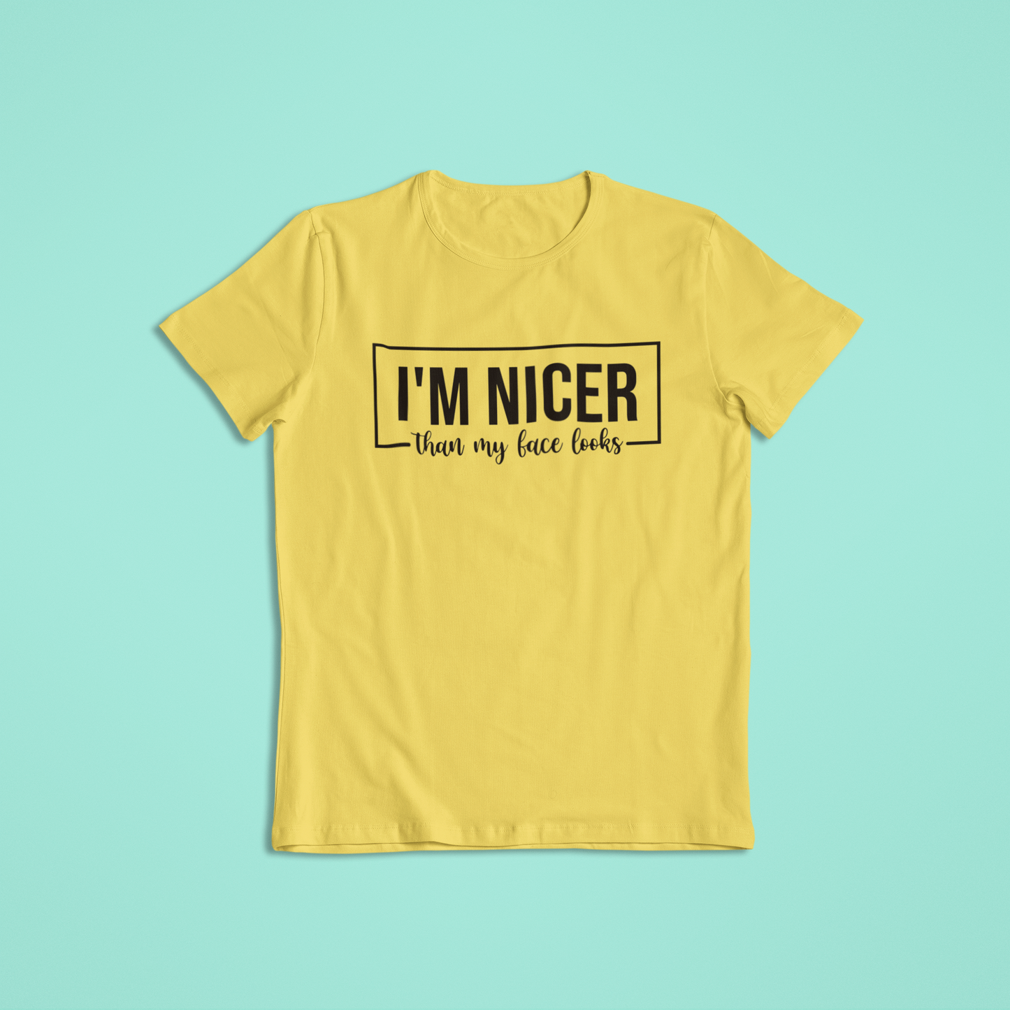 I'm Nicer Than My Face Looks Shirt, Funny Sarcastic T-Shirt and Hoodie, Humor Graphic Tee, Snarky Mood Shirt, Cute Sassy Saying