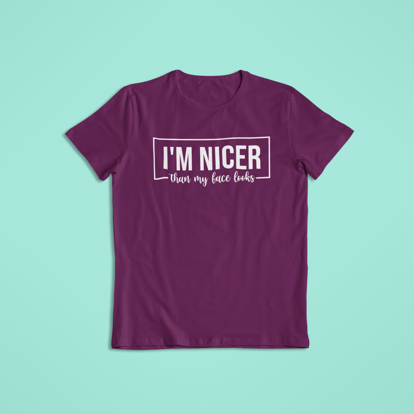 I'm Nicer Than My Face Looks Shirt, Funny Sarcastic T-Shirt and Hoodie, Humor Graphic Tee, Snarky Mood Shirt, Cute Sassy Saying