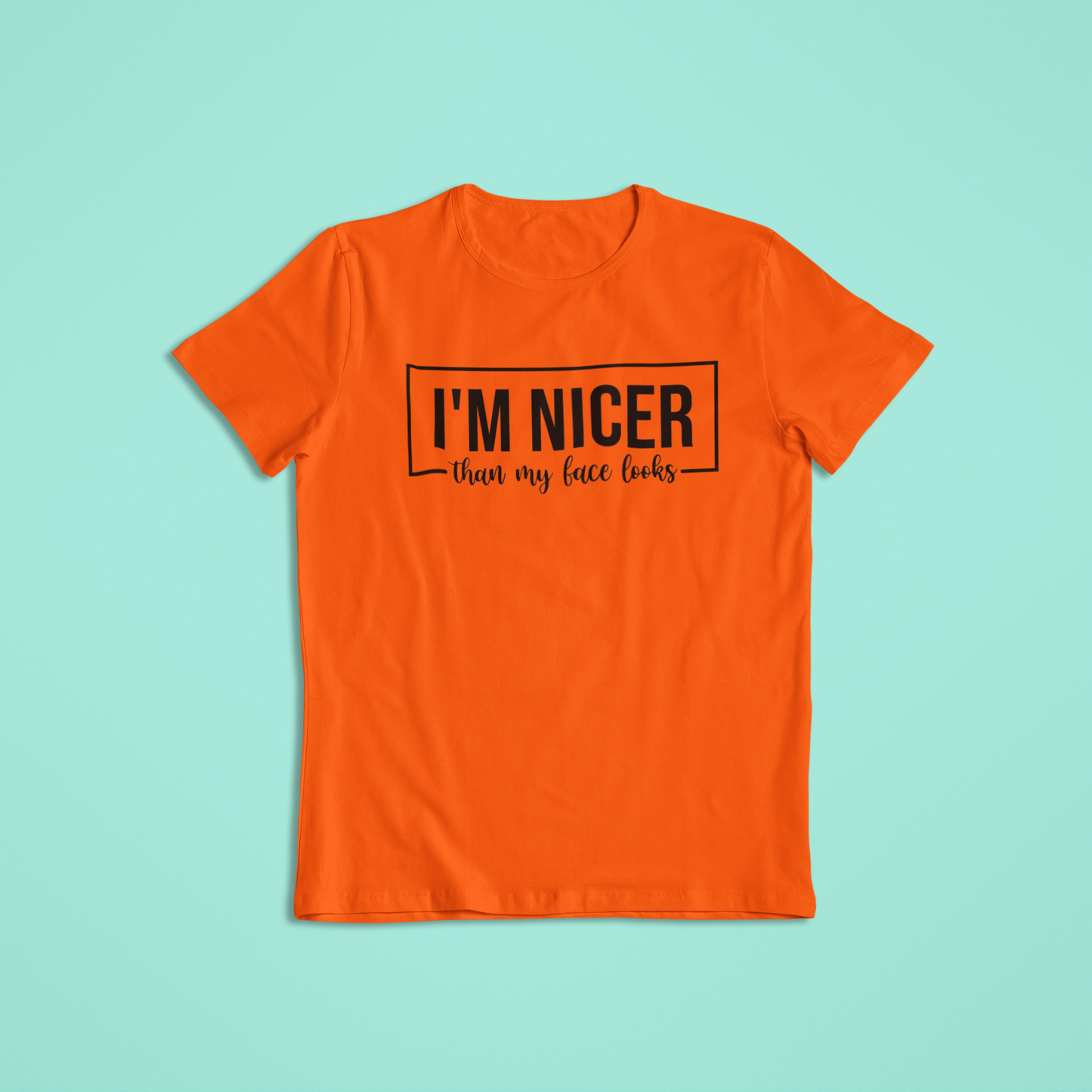 I'm Nicer Than My Face Looks Shirt, Funny Sarcastic T-Shirt and Hoodie, Humor Graphic Tee, Snarky Mood Shirt, Cute Sassy Saying