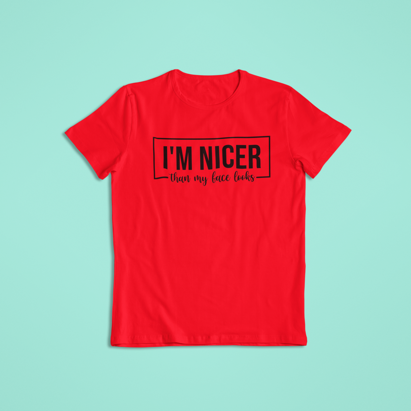 I'm Nicer Than My Face Looks Shirt, Funny Sarcastic T-Shirt and Hoodie, Humor Graphic Tee, Snarky Mood Shirt, Cute Sassy Saying