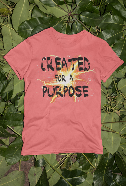 Motivational Created Tees and Hoodies