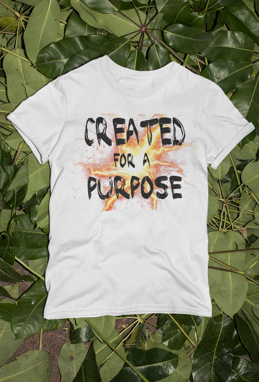 Motivational Created Tees and Hoodies