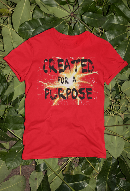 Motivational Created Tees and Hoodies