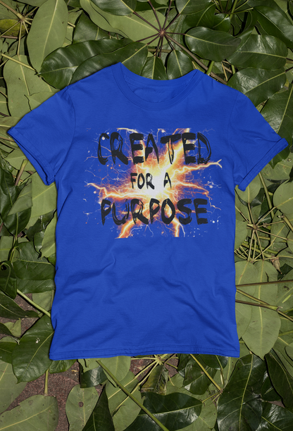 Motivational Created Tees and Hoodies